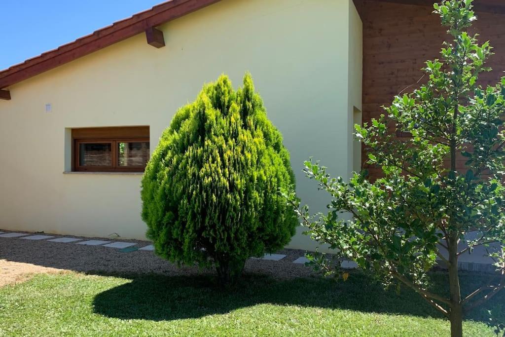 Quinta Pedro E Ines Villa Bragança Buitenkant foto