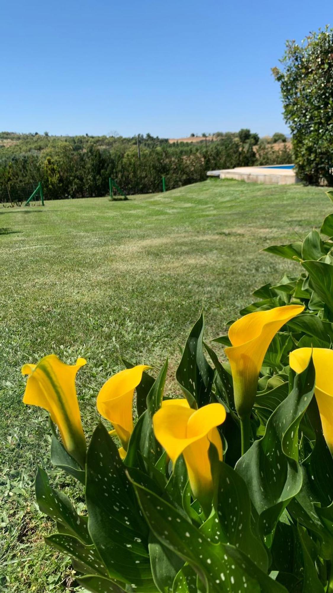 Quinta Pedro E Ines Villa Bragança Buitenkant foto