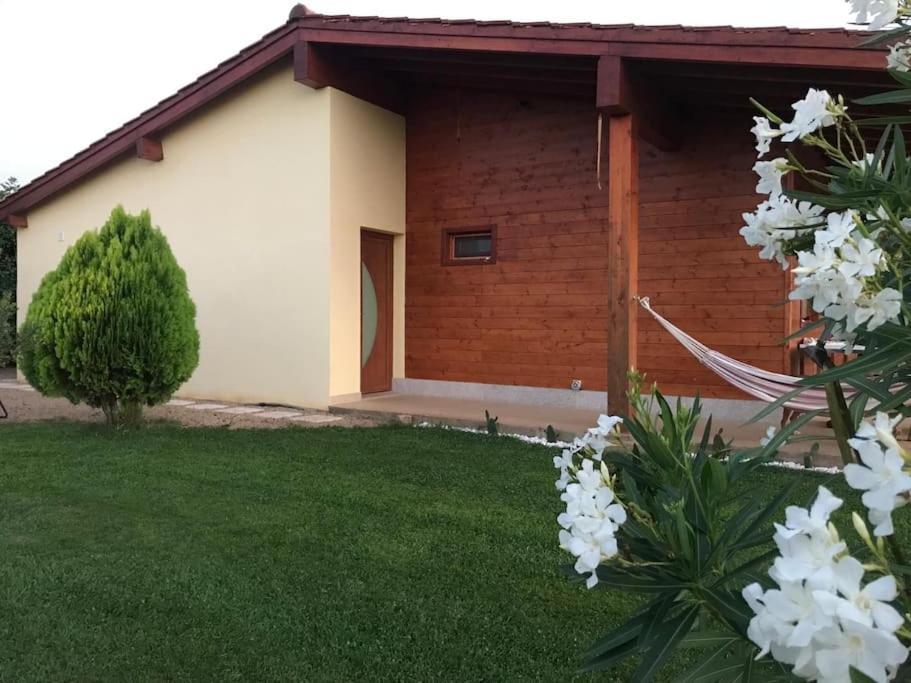 Quinta Pedro E Ines Villa Bragança Buitenkant foto