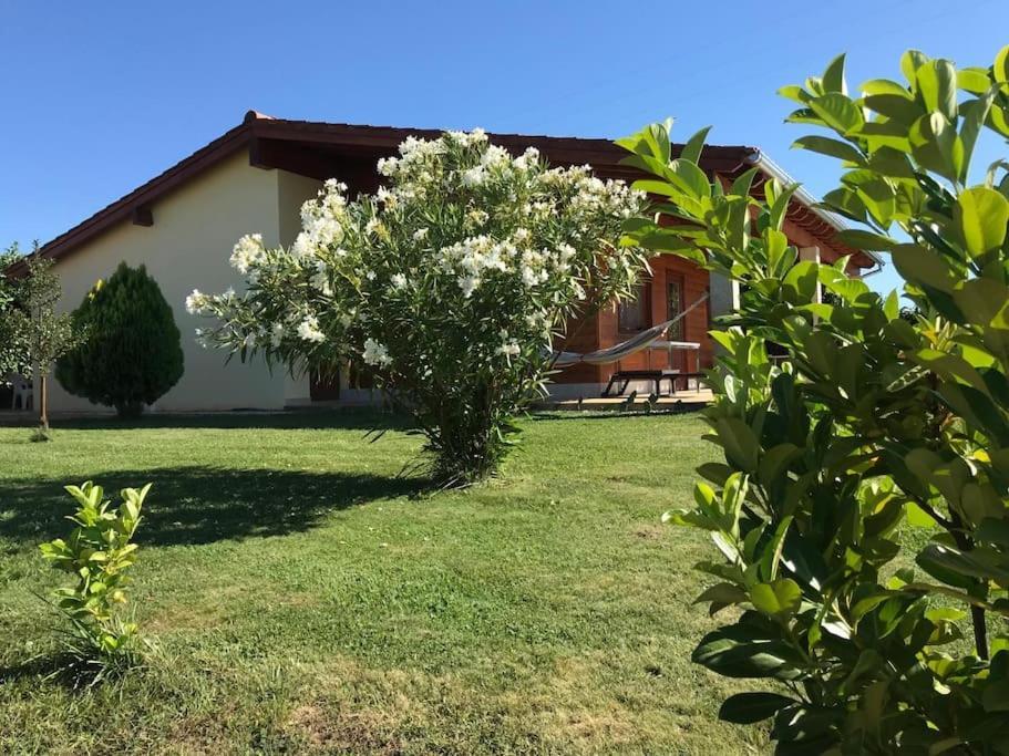 Quinta Pedro E Ines Villa Bragança Buitenkant foto