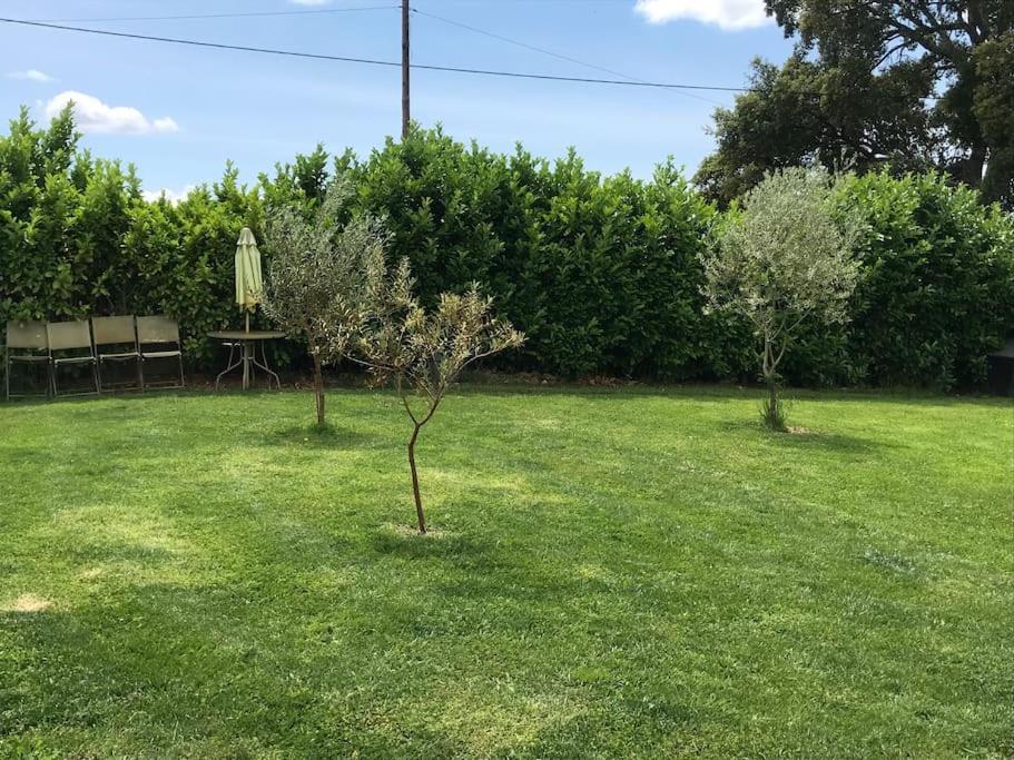 Quinta Pedro E Ines Villa Bragança Buitenkant foto